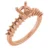 14K Rose