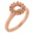 14K Rose