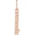 14K Rose