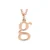 14K Rose